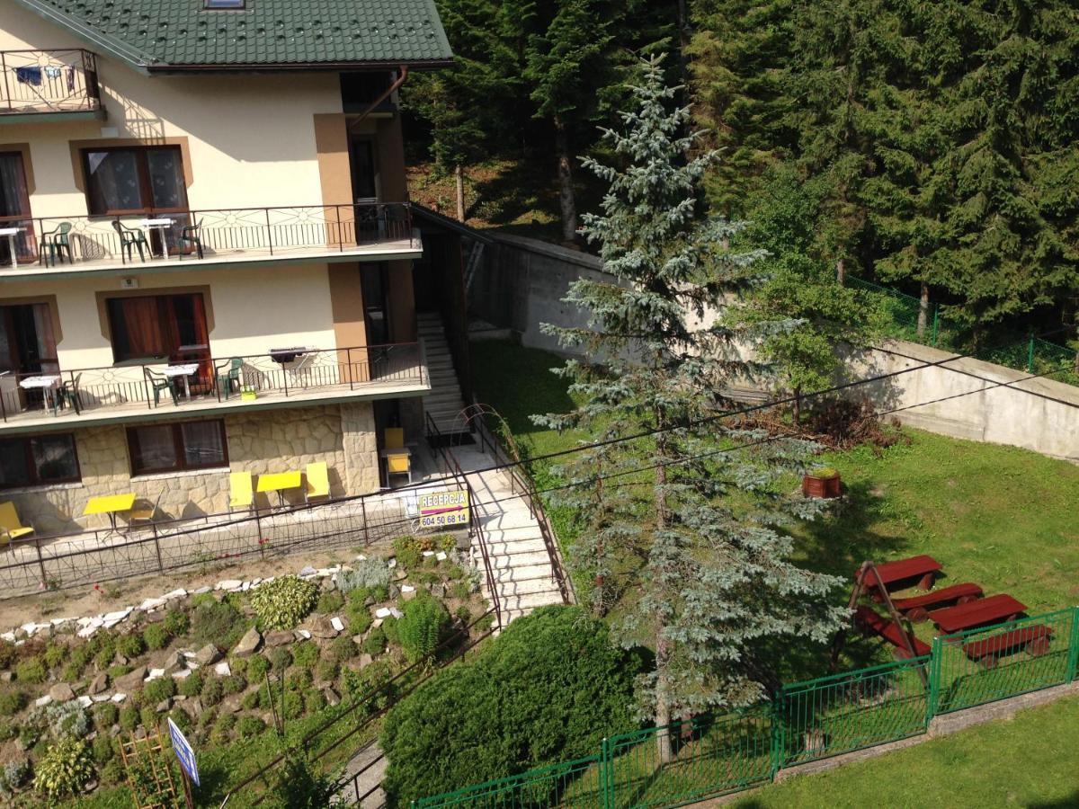 Carmen Homestay